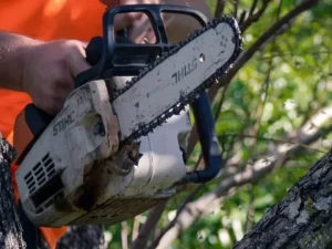 Harzadous tree removal Logan Harzadous tree removal Logan